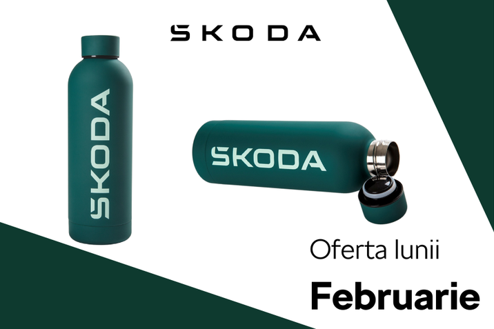 Oferta lunii februarie - Skoda