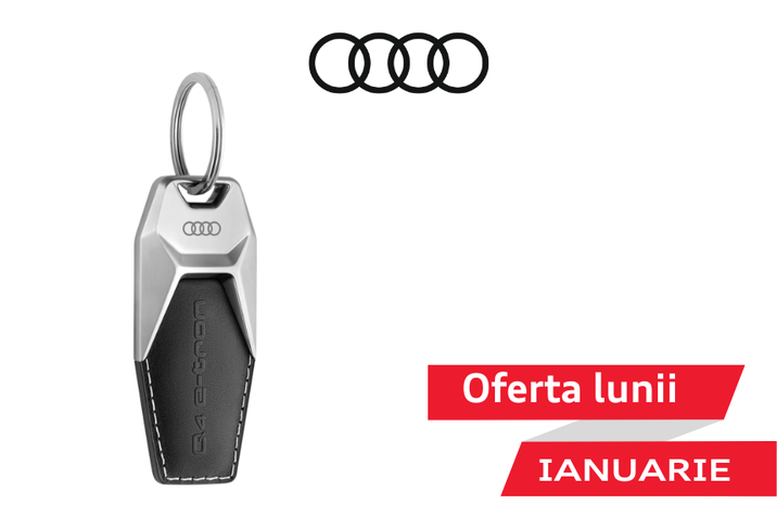 Oferta lunii ianuarie - Audi