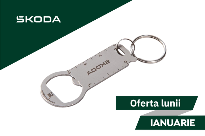 Oferta lunii ianuarie - Škoda